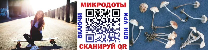 Псилоцибиновые грибы GOLDEN TEACHER наркошоп Кизляр