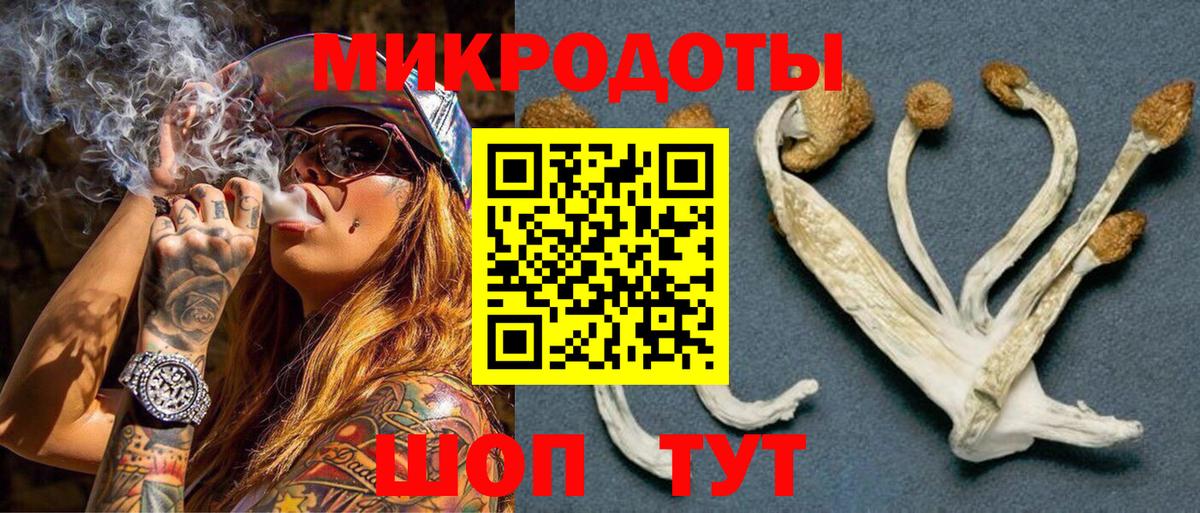 Кизляр  Псилоцибиновые грибы Psilocybe  Вход с VPN 